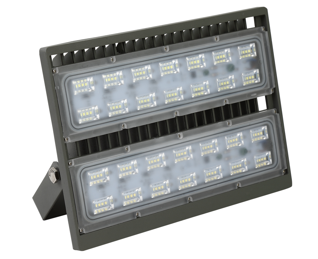 FLE 100W LED Flood Light