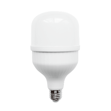 TE-Type 30W LED Globe