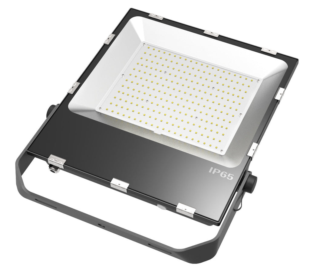 Endure LED Floodlight 150W