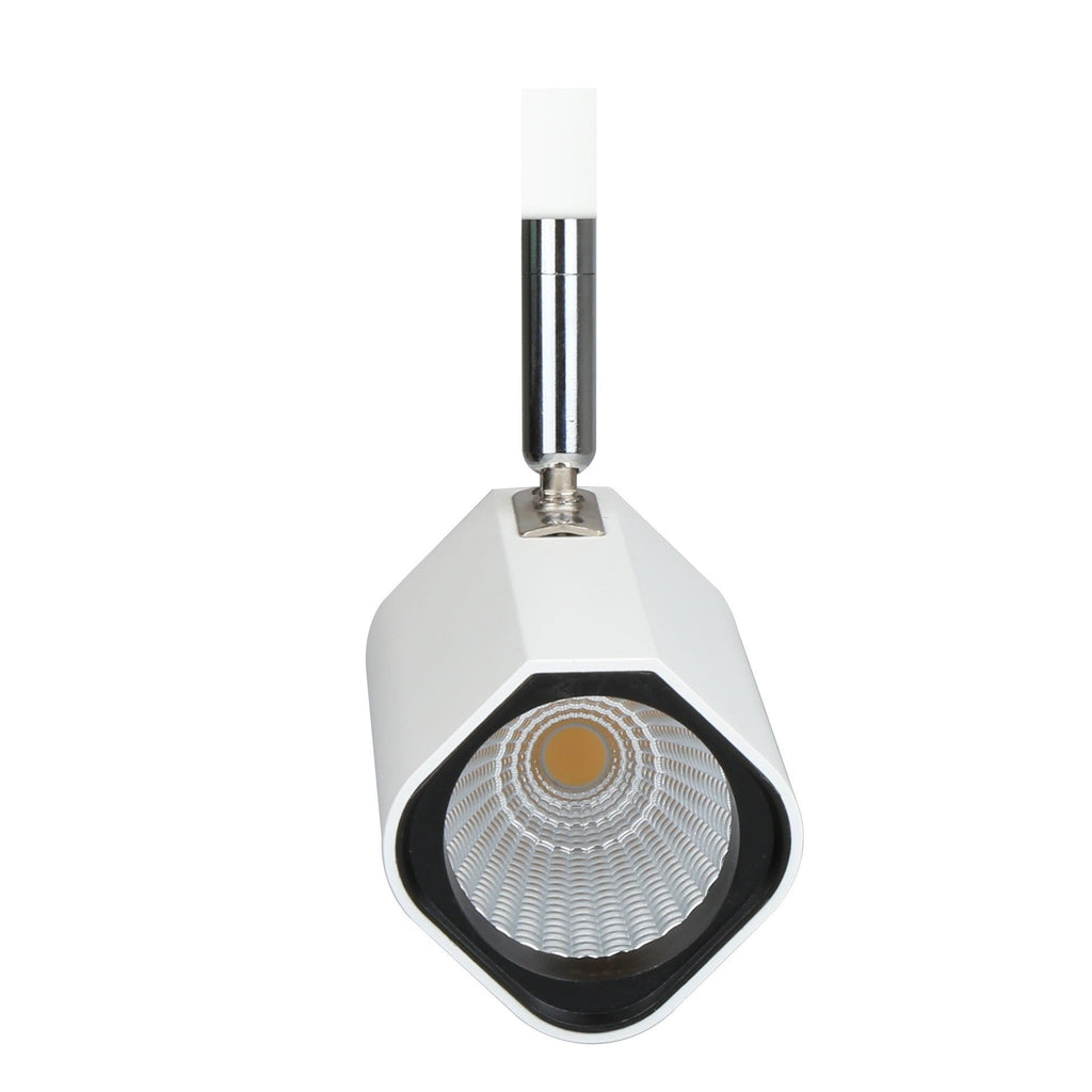 20 Series 10W LED Track light