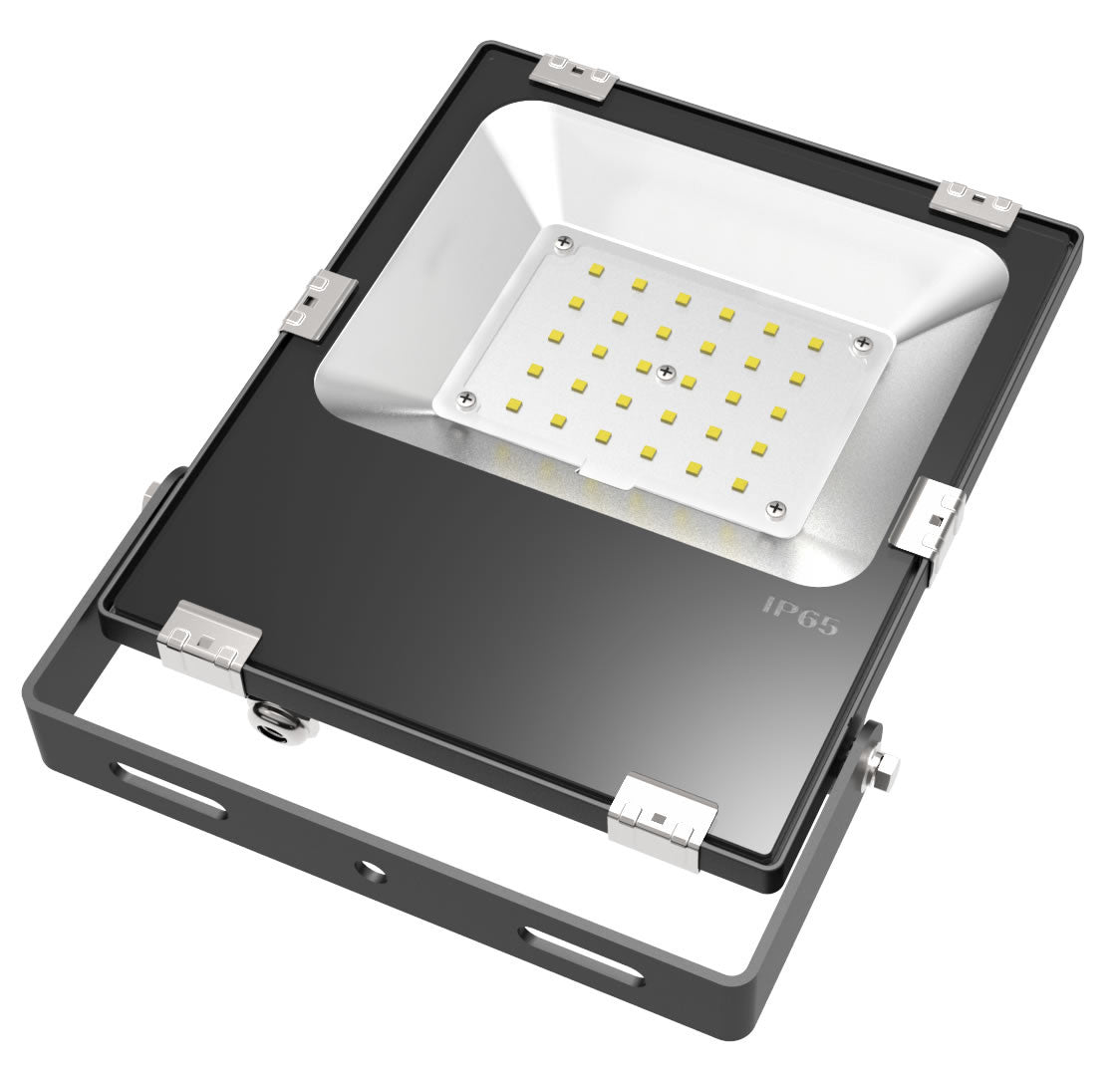 Ambi Led Endure LED Floodlight 30W - Ambi-FX International Limited