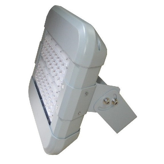 100W Commercial Paramount Floodlight