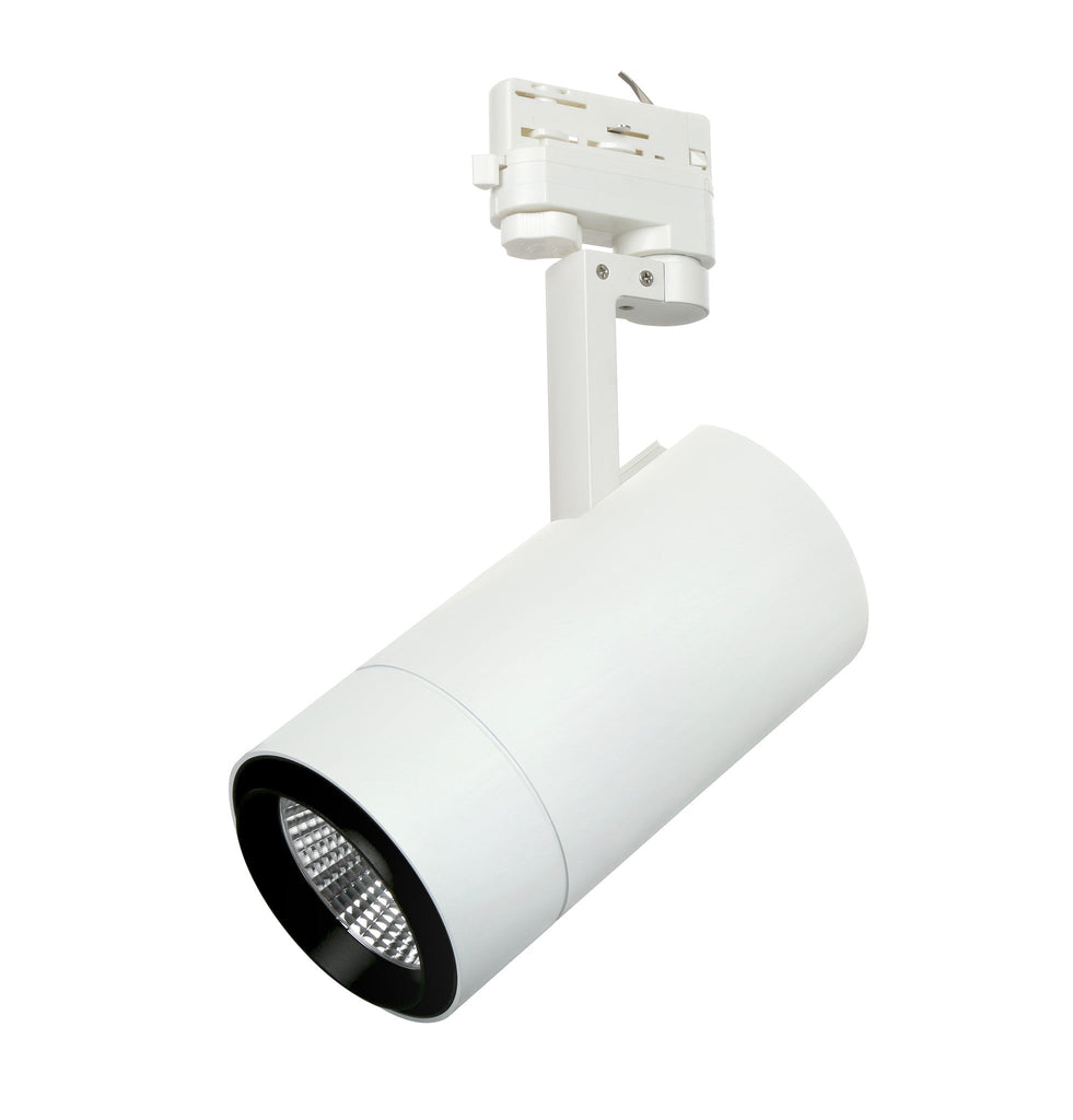 Paramount 35W IntelleLED Track Light