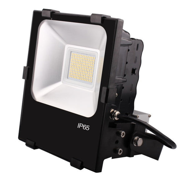 50W Paramount LED Floodlight