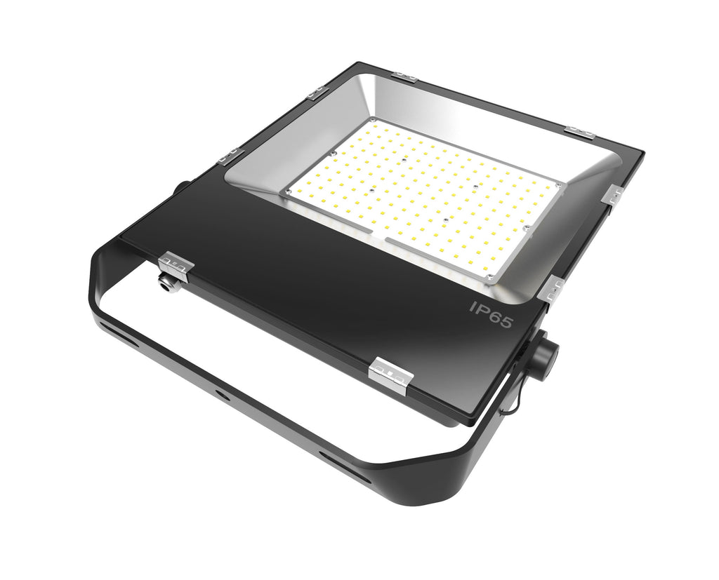Endure LED Floodlight 120W