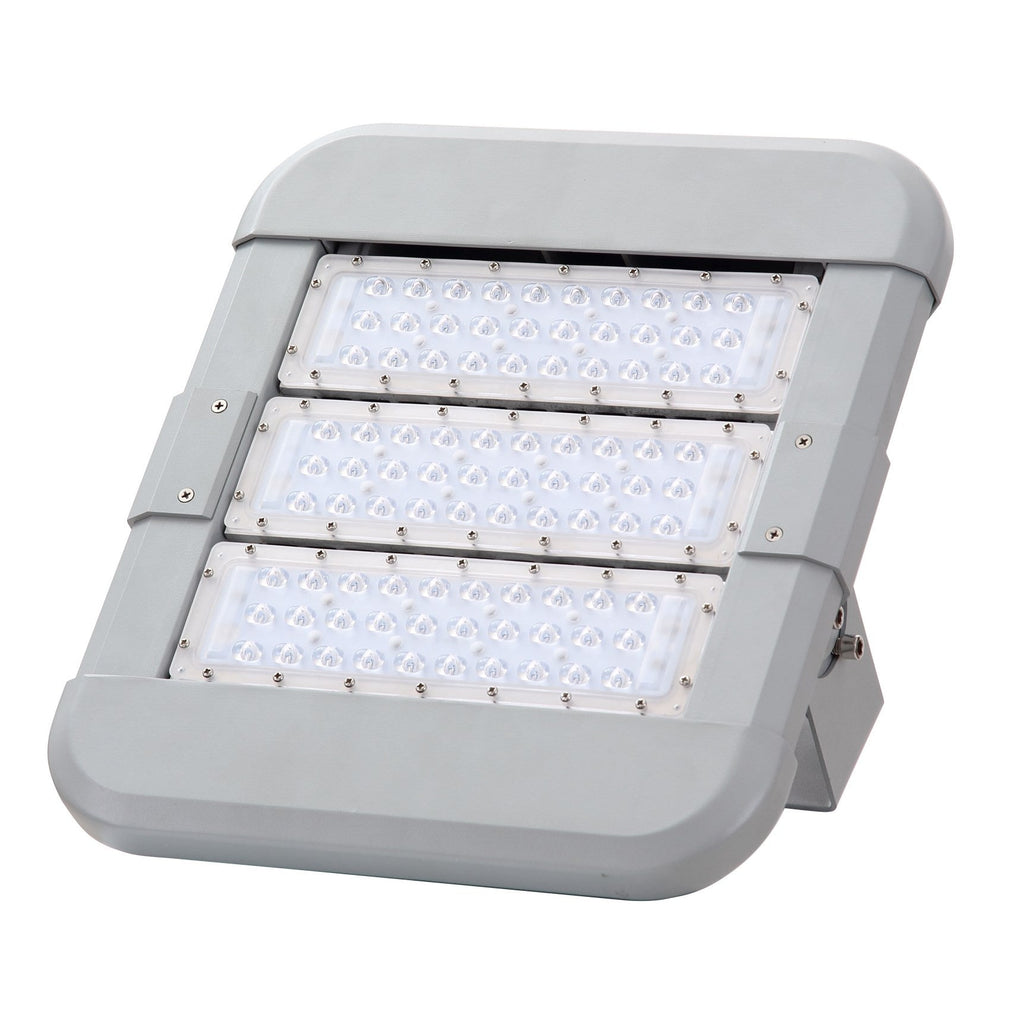 150W Commercial Paramount Floodlight