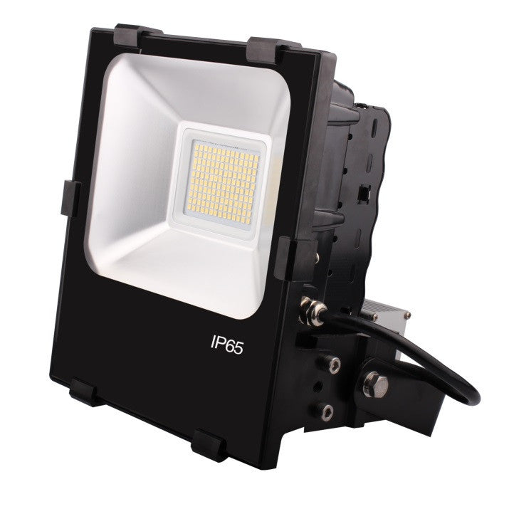50W Paramount LED Floodlight